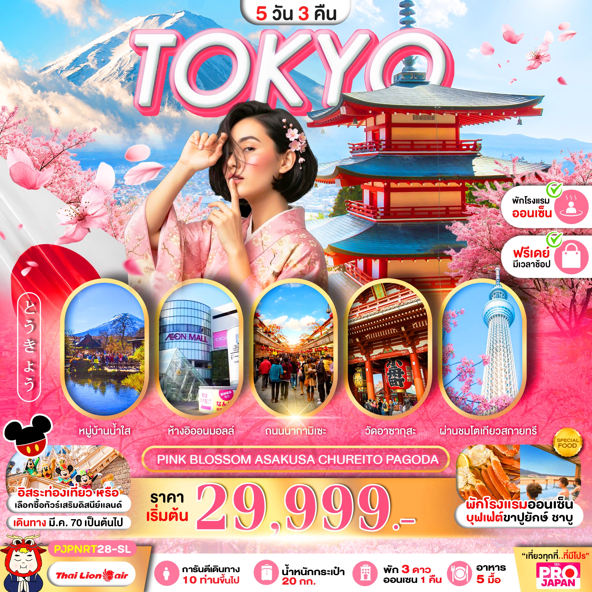 ทัวร์ญี่ปุ่น PRO TOKYO PINK BLOSSOM ASAKUSA CHUREITO PAGODA FREE DAY 5วัน 3คืน (SL)